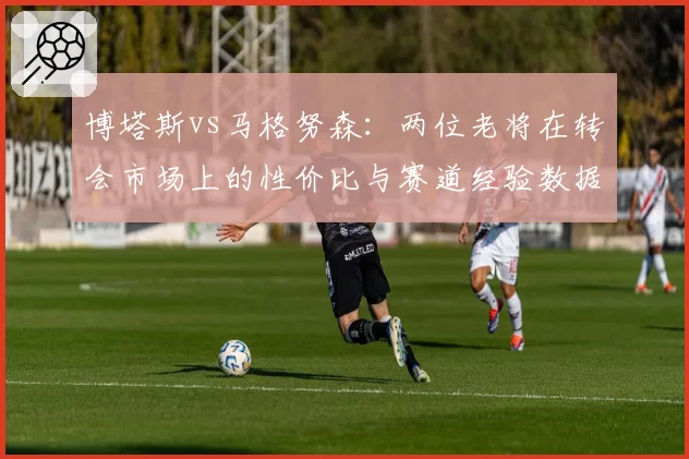 博塔斯vs马格努森:两位老将在转会市场上的性价比与赛道经验数据全面对照