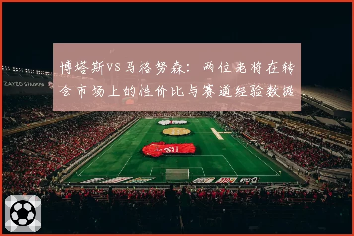 博塔斯vs马格努森:两位老将在转会市场上的性价比与赛道经验数据全面对照