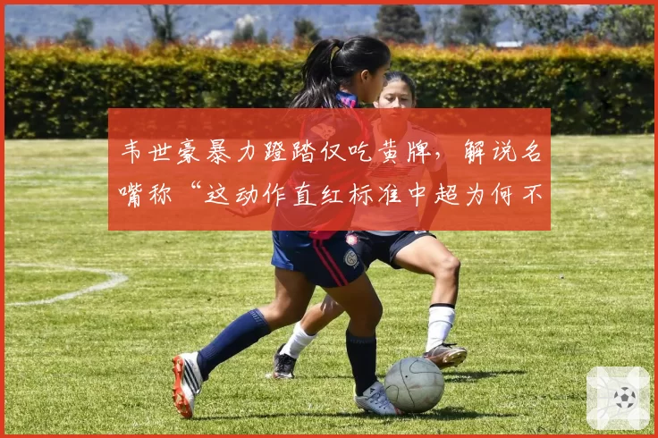 韦世豪暴力蹬踏仅吃黄牌,解说名嘴称“这动作直红标准中超为何不执行”